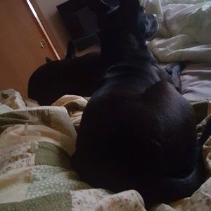 Meet your Posher, Lesley